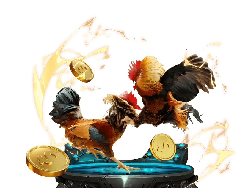 Giới thiệu đá gà trực tuyến Kingfun